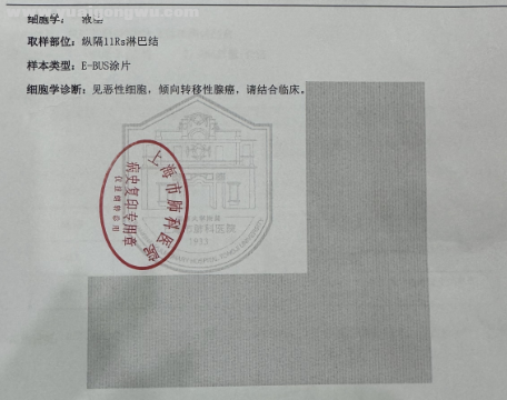 病理.png